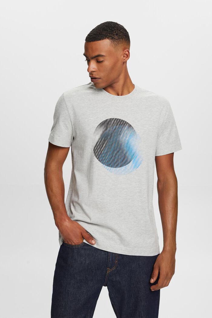 T-shirt z okrągłym dekoltem i nadrukiem z przodu, LIGHT GREY, detail image number 0
